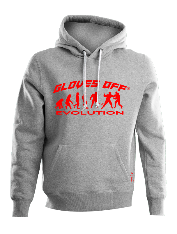 AUTHENTIC HOODIE EVOLUTION